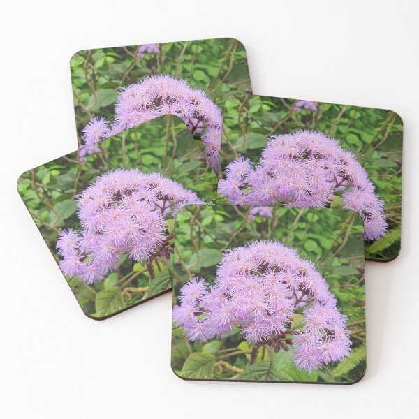 Item preview, Bartlettina Sordida or Blue Mist designed and sold by Claire L Page Photography.