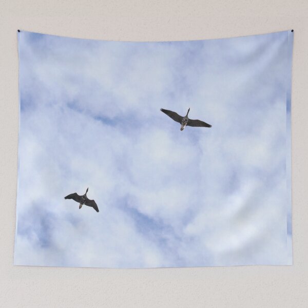 Item preview, Greater white-fronted goose the young ones designed and sold by Jouko Lehto Photography.