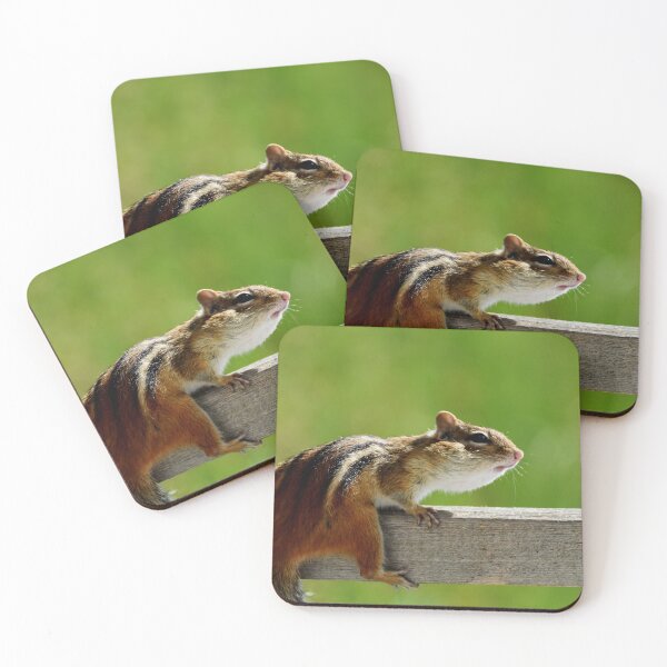 Item preview, A squirrel in the garden designed and sold by Claude Laprise.