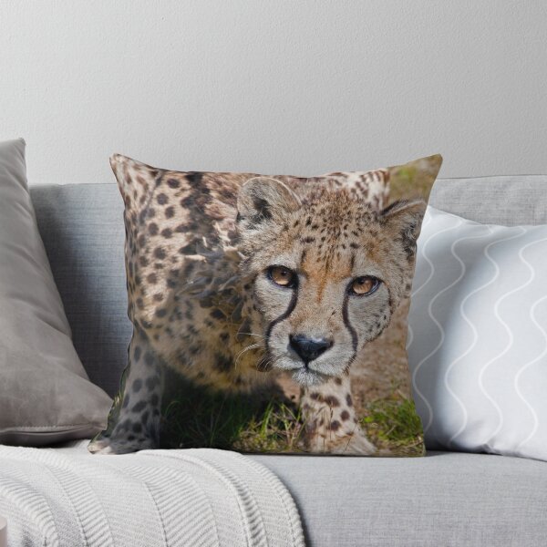 Item preview, Sita designed and sold by Krys Bailey.