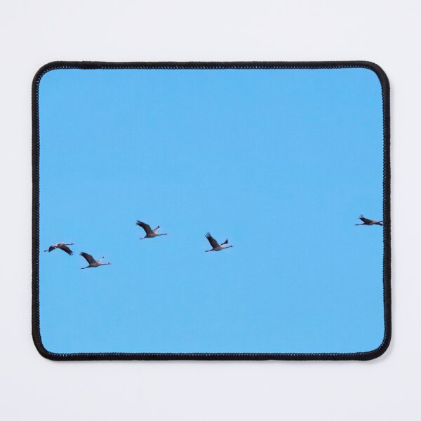 Item preview, Eurasian cranes out of the blue designed and sold by Jouko Lehto Photography.