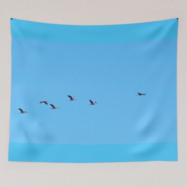 Item preview, Eurasian cranes out of the blue designed and sold by Jouko Lehto Photography.