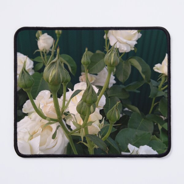 Item preview, White rose designed and sold by alionakaluta.