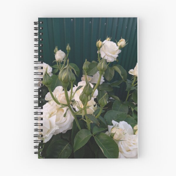 Item preview, White rose designed and sold by alionakaluta.