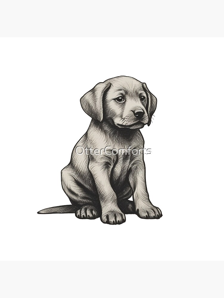 Poster for Sale avec l uvre Labrador chiot noir et blanc de l