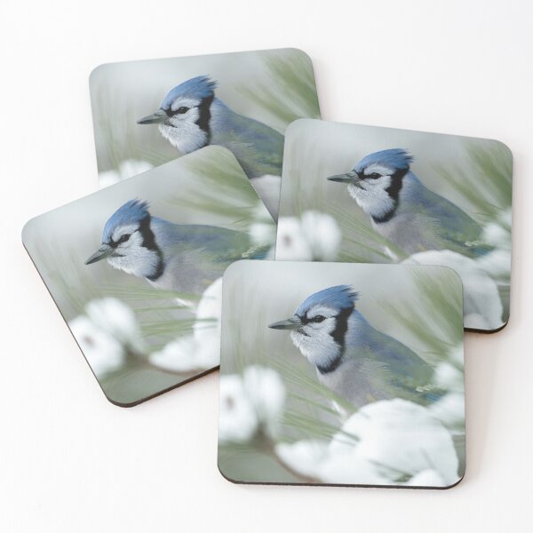 Artikelvorschau, Blue Jay entworfen und verkauft von Michael Cummings.
