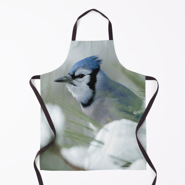 Artikelvorschau, Blue Jay entworfen und verkauft von Michael Cummings.