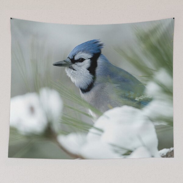Artikelvorschau, Blue Jay entworfen und verkauft von Michael Cummings.