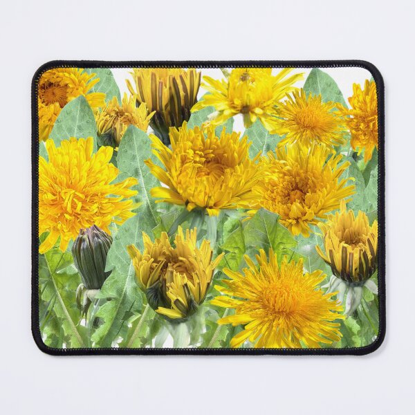 Item preview, Dandelions - a meadow full of future wishes designed and sold by Binas-gallery.