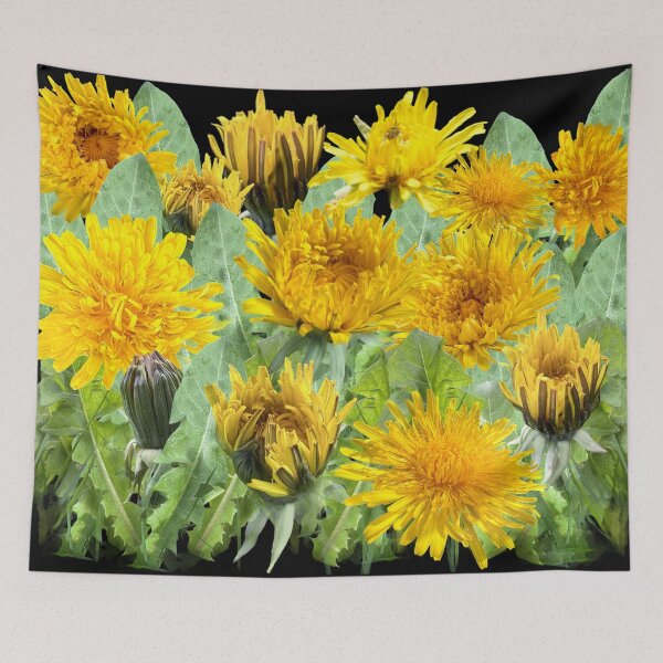 Item preview, Dandelions - a meadow full of future wishes - with a black background designed and sold by Binas-gallery.