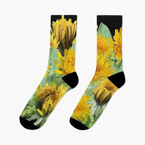 Item preview, Dandelions - a meadow full of future wishes - with a black background designed and sold by Binas-gallery.