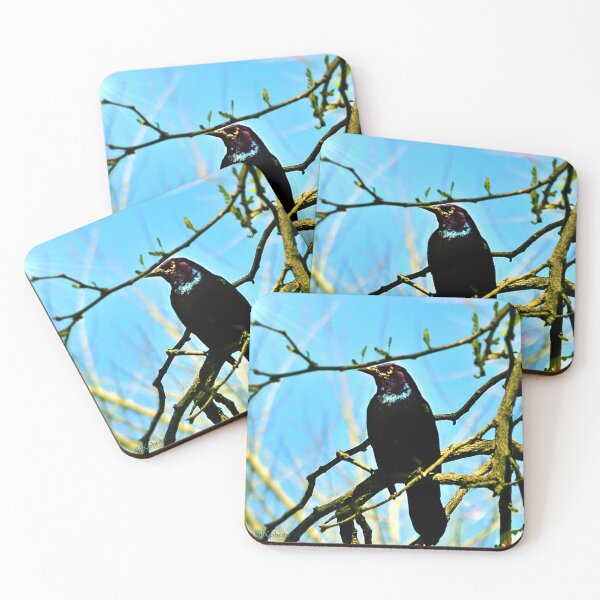 Artikelvorschau, Blauer schwarzer Vogel entworfen und verkauft von seventySIXart&photo .