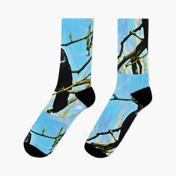 Item preview, Blue Black Bird  designed and sold by seventySIXart&photo .