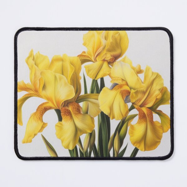 Item preview, Yellow Irises  designed and sold by Vanover Designs.