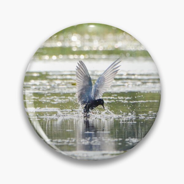 Item preview, Black Tern designed and sold by srlancaster.