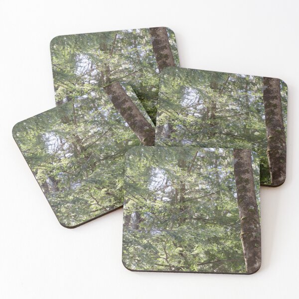 Item preview, Forest designed and sold by srlancaster.
