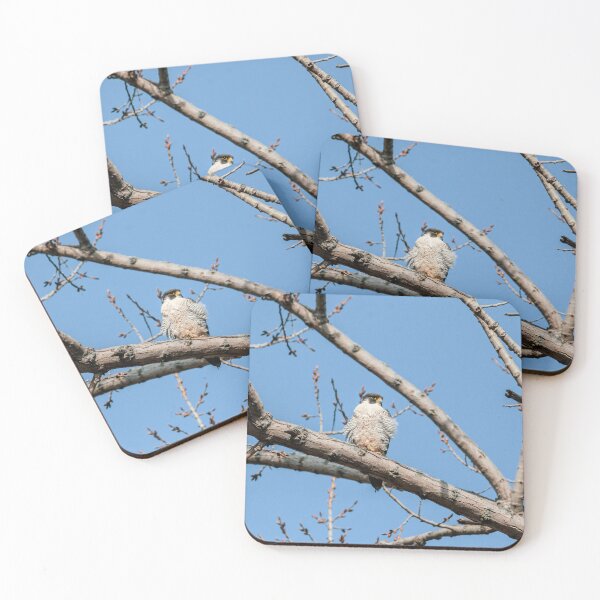 Item preview, peregrine falcon designed and sold by srlancaster.
