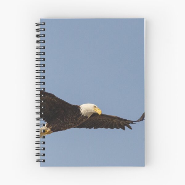 Item preview, bald eagle designed and sold by srlancaster.