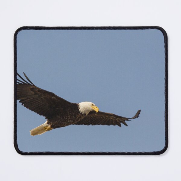 Item preview, bald eagle designed and sold by srlancaster.