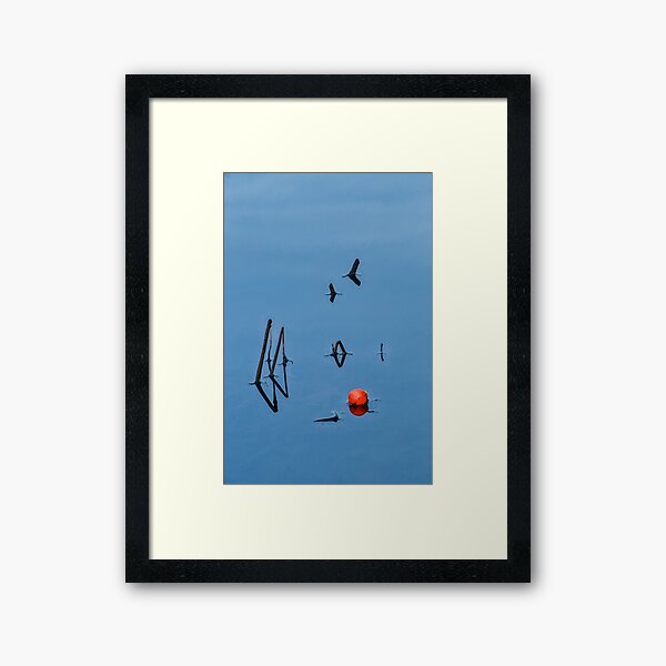 Fishing Bobber Wall Art for Sale