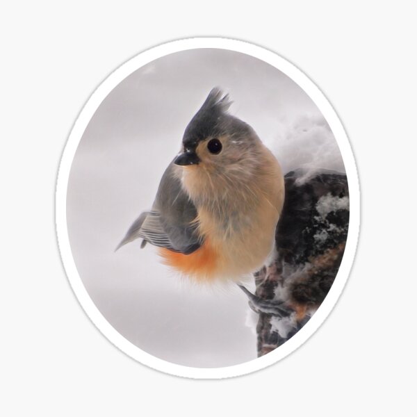 Item preview, Winter Birds - Titmouse designed and sold by Kathy Weaver.