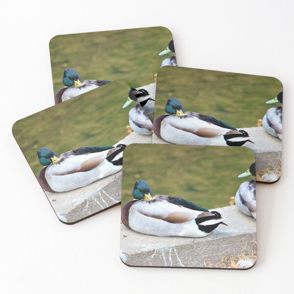 Item preview, resting duck designed and sold by jpaul thibaut.