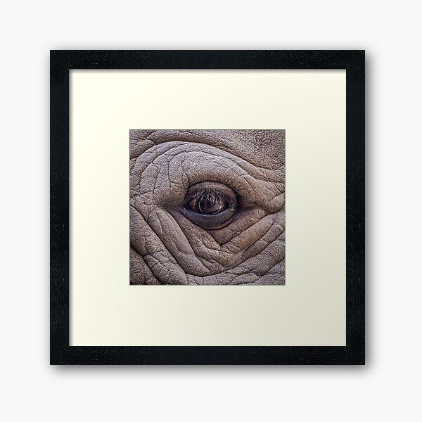 Item preview, Eye of the Rhino designed and sold by JulieAnnPix.