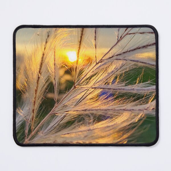 Item preview, Sunset through catkin flowers designed and sold by kstanvir.
