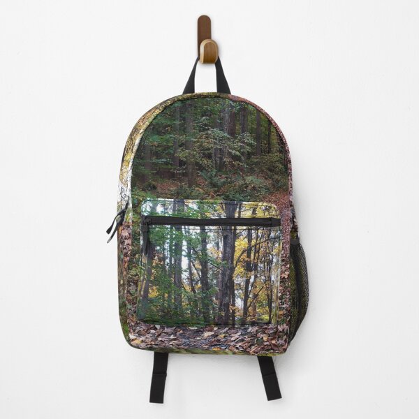 Item preview, Schoharie County back country road designed and sold by CatskillMeander.