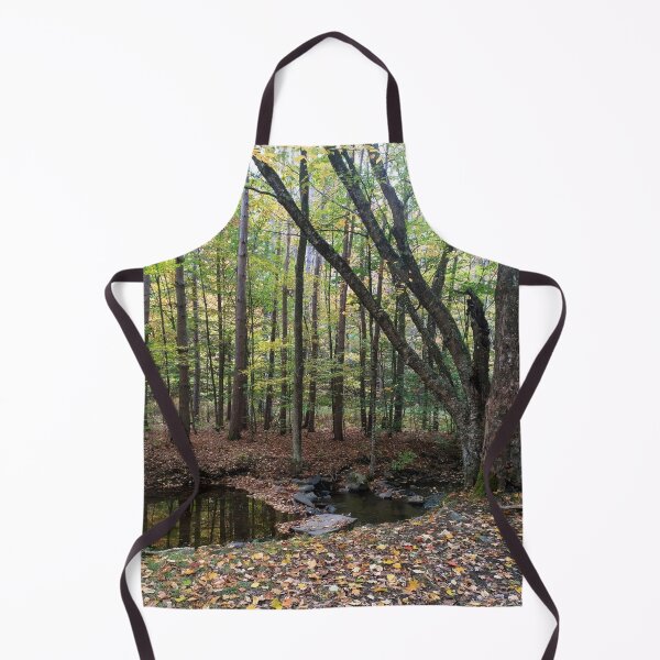 Item preview, Betty Brook Schoharie County NY designed and sold by CatskillMeander.