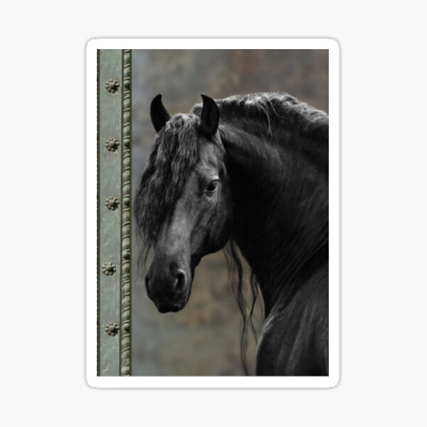 Item preview, Elegant Friesian designed and sold by LISA VANFLEET.