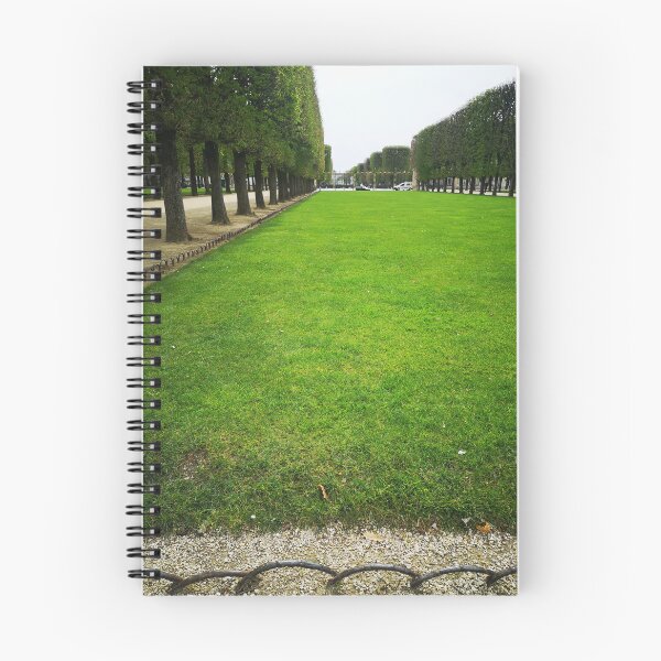 Aperçu de l'œuvre Herbe verte dans le jardin du Luxembourg, Paris créée et vendue par Singerevita.