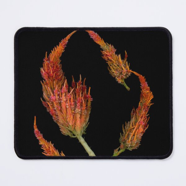 Item preview, Wool Flower 1 Dark Floral designed and sold by LindasPhotoArt.