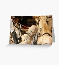 Lusitanos Greeting Card