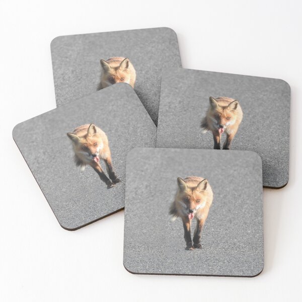 Item preview, Red Fox, Wildlife Gifts, Wild Animals designed and sold by Sandra O'Toole.