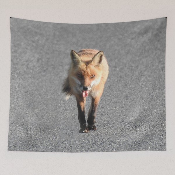 Item preview, Red Fox, Wildlife Gifts, Wild Animals designed and sold by Sandra O'Toole.