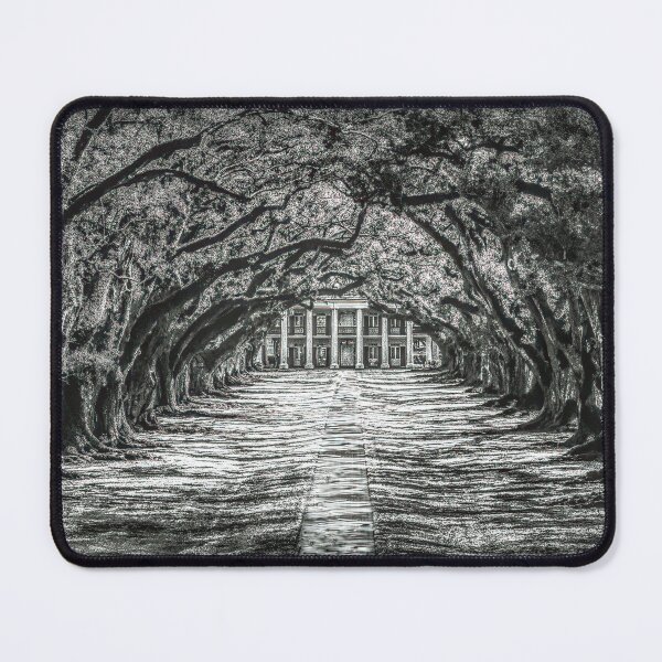 Item preview, Oak Alley Canopy in Black and White designed and sold by nbrandsberg.