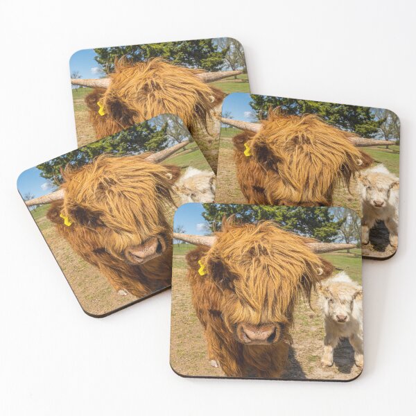 Item preview, Adorable Highland Duo: Cow and Calf Cuteness designed and sold by jrchopshop.