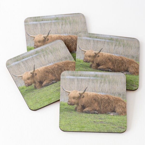 Item preview, Highland Cattle designed and sold by LaurenTucker.