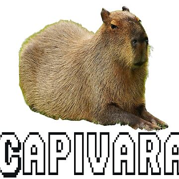 Topic · Capivara ·
