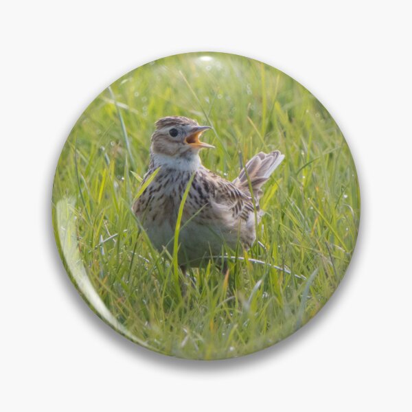 Item preview, Skylark designed and sold by LaurenTucker.