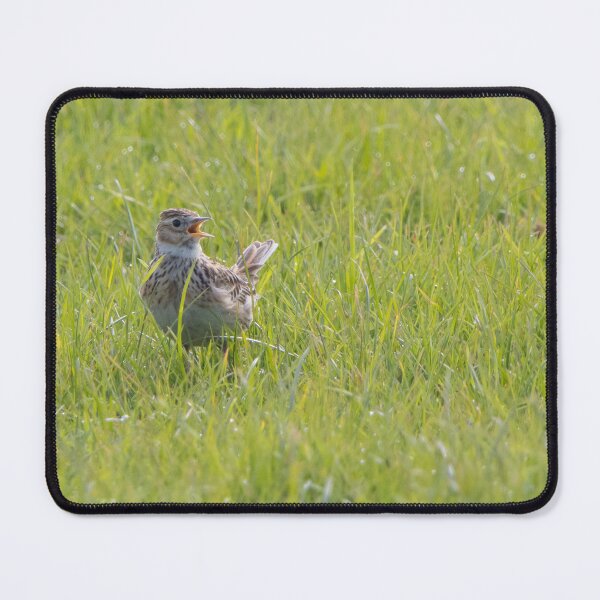 Item preview, Skylark designed and sold by LaurenTucker.