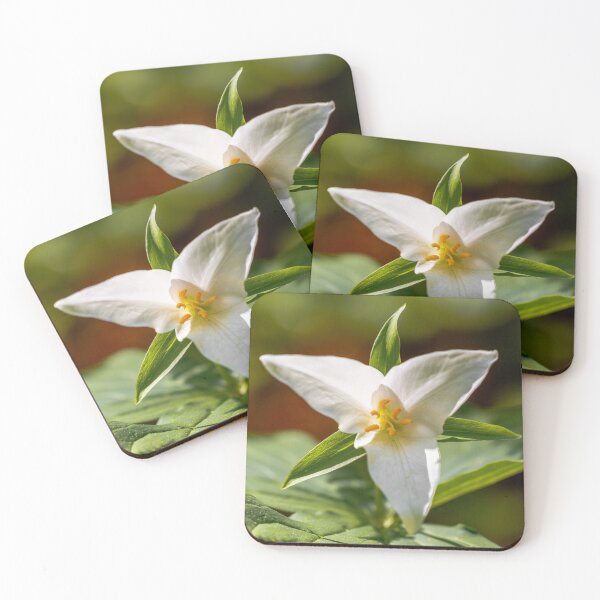 Item preview, Trillium Flower Close-Up designed and sold by jillianbutolphphoto.