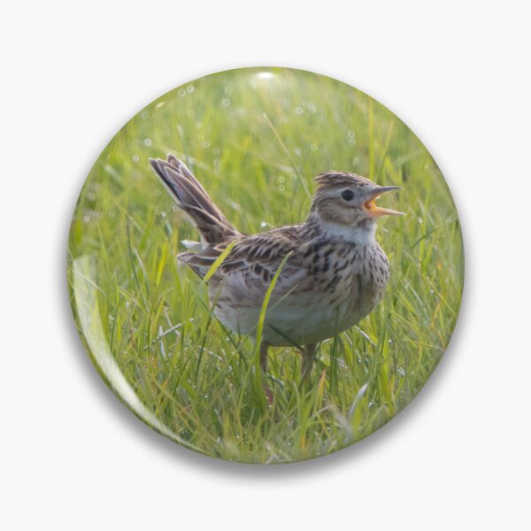 Item preview, Skylark designed and sold by LaurenTucker.