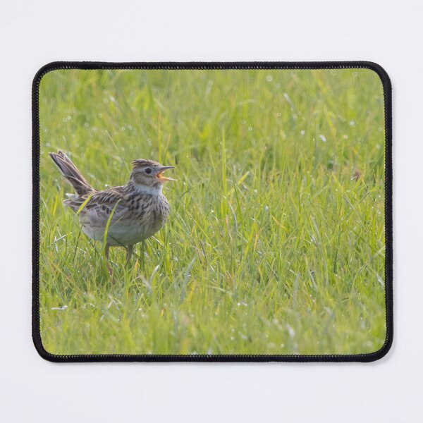 Item preview, Skylark designed and sold by LaurenTucker.