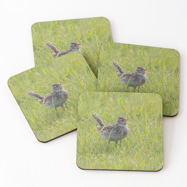 Item preview, Skylark designed and sold by LaurenTucker.