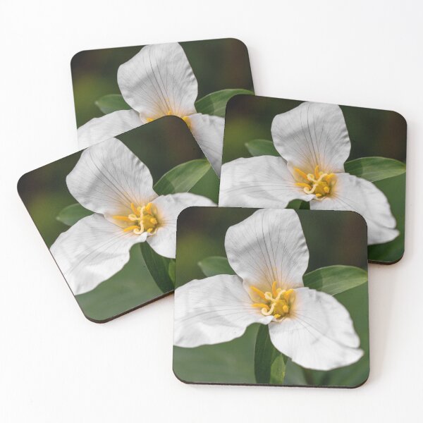 Item preview,  Trillium Flower Close-Up designed and sold by jillianbutolphphoto.