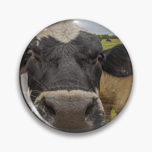 Item preview, Curious Cow designed and sold by jrchopshop.