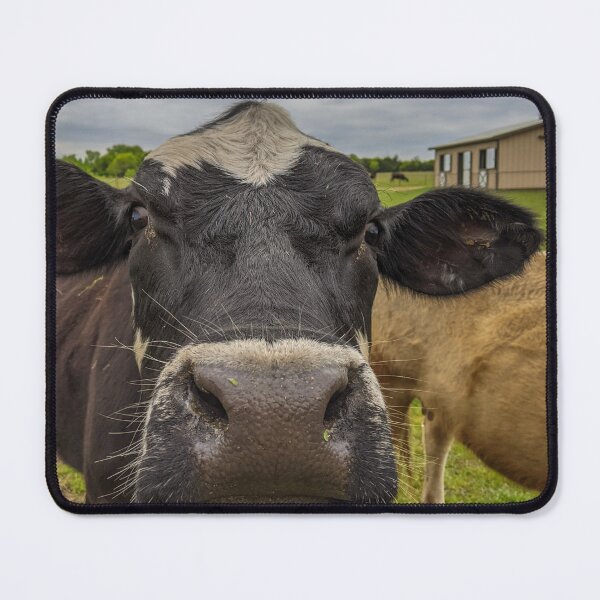 Item preview, Curious Cow designed and sold by jrchopshop.