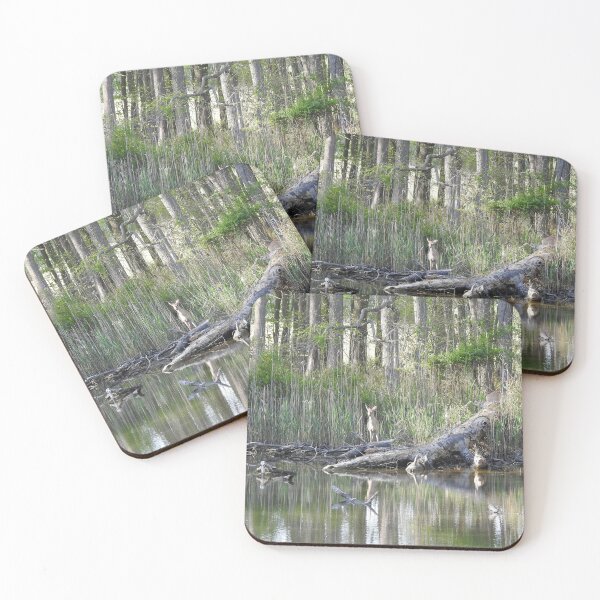 Item preview, Whitetail deer, wild animal, wildlife gifts designed and sold by Sandra O'Toole.